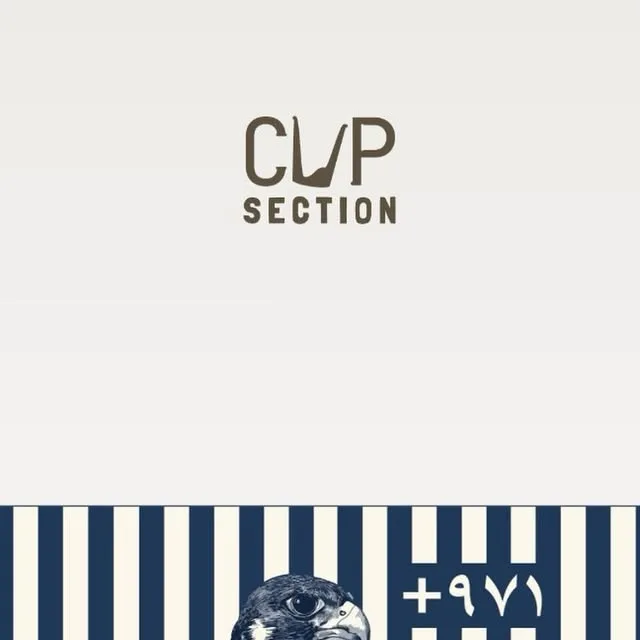 Flat print of the falcon design: navy and cream stripes, a falcon head and +971.
